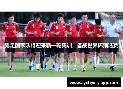 男足国家队将迎来新一轮集训，备战世界杯预选赛