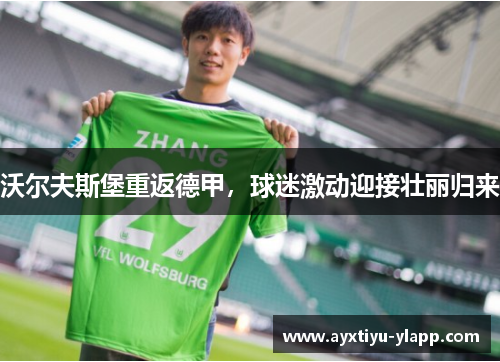 沃尔夫斯堡重返德甲，球迷激动迎接壮丽归来