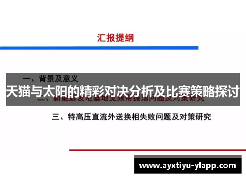 天猫与太阳的精彩对决分析及比赛策略探讨